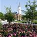Flowers with church in background